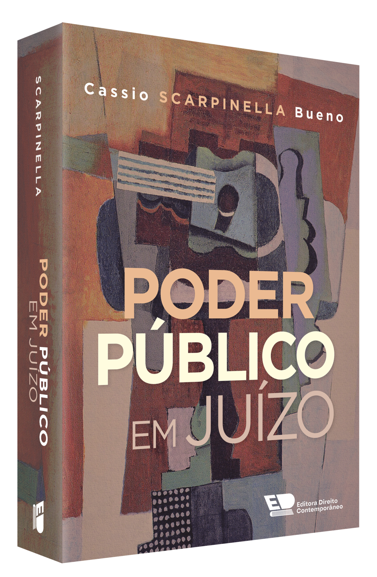 Poder Público em Juízo